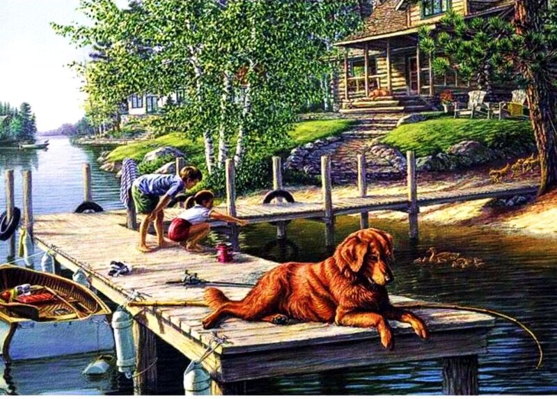 Golden Retriever on Dock — Brown, Serene