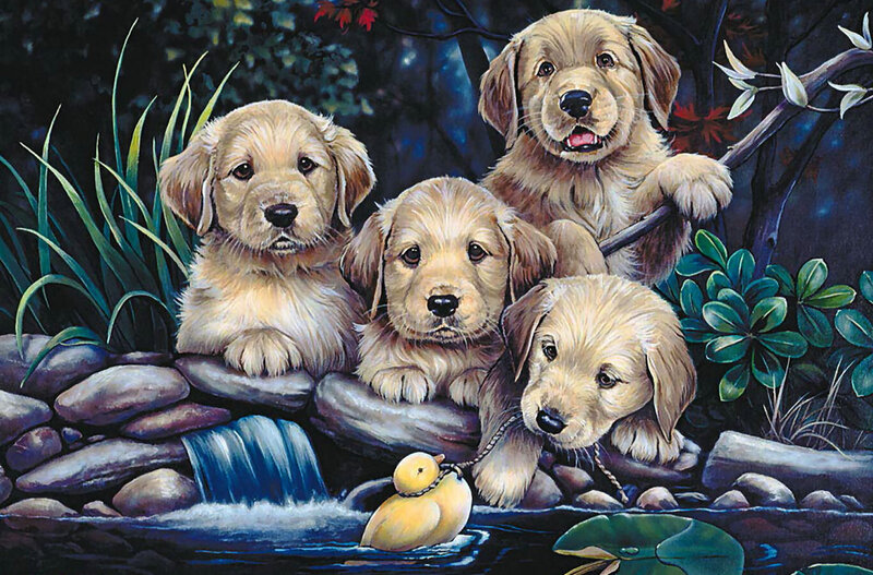 Golden Retriever Puppies — Blue, Serene, Night