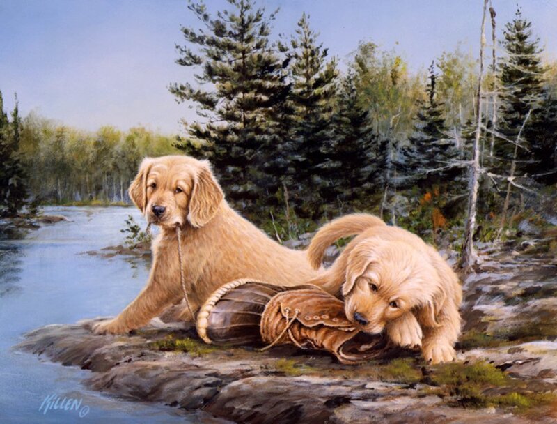 Golden Retriever Puppies — Brown, Serene
