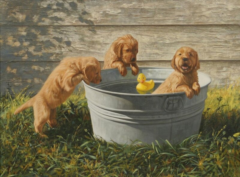 Golden Retriever Puppies — Brown