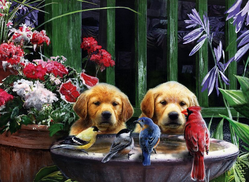 Golden Retriever Puppies — Green, Serene, Afternoon