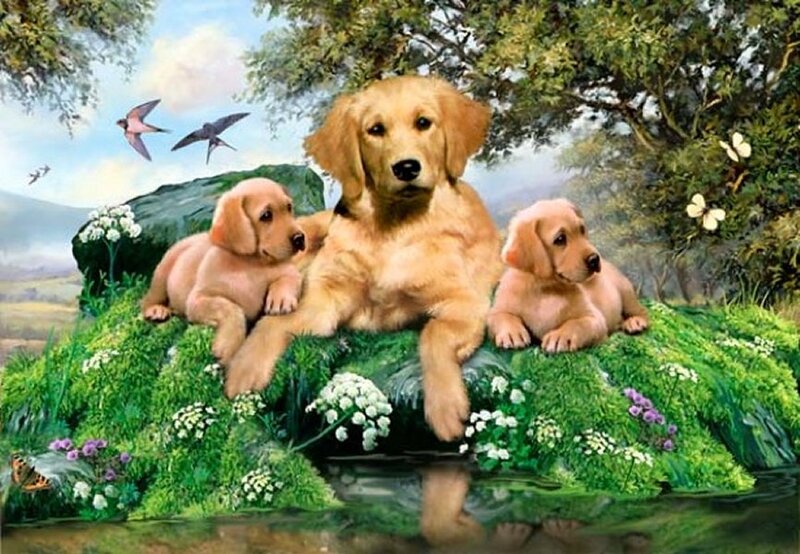 Golden Retriever Puppies — Green, Serene