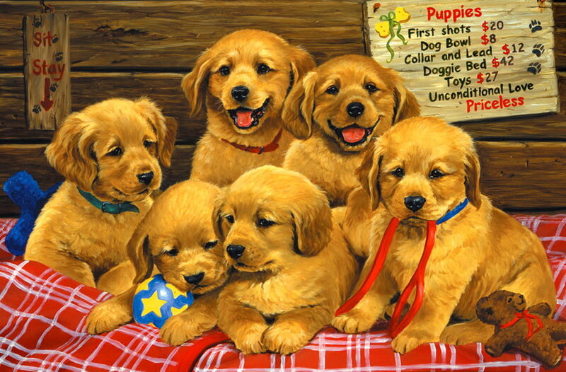 Golden Retriever Puppies — Red, Cheerful