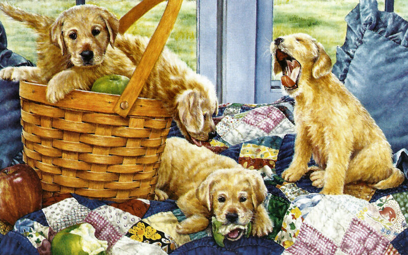 Golden Retriever Puppies — Yellow, Playful, Afternoon