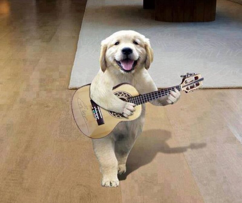Golden Retriever Puppy — Beige, Playful