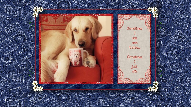 Golden Retriever Puppy — Blue, Calm