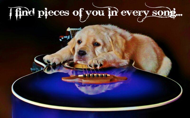 Golden Retriever Puppy — Blue, Melancholic
