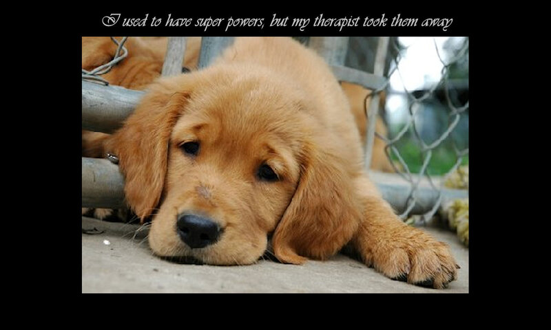 Golden Retriever Puppy — Brown, Sad