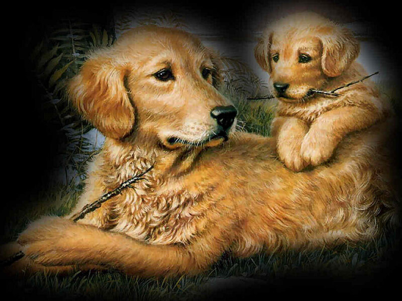 Golden Retriever Puppy — Gold, Calm, Painting
