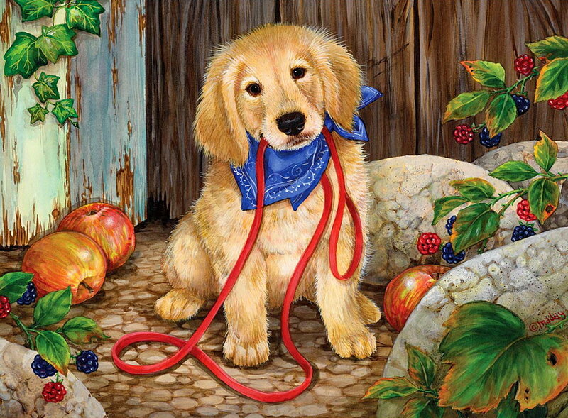 Golden Retriever Puppy — Gold, Peaceful, Afternoon