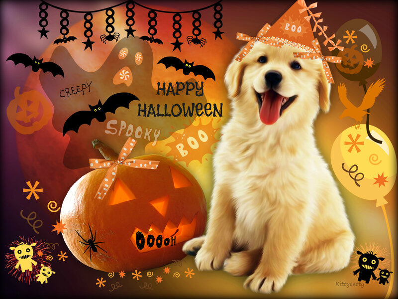 Golden Retriever Puppy — Orange, Festive, Night