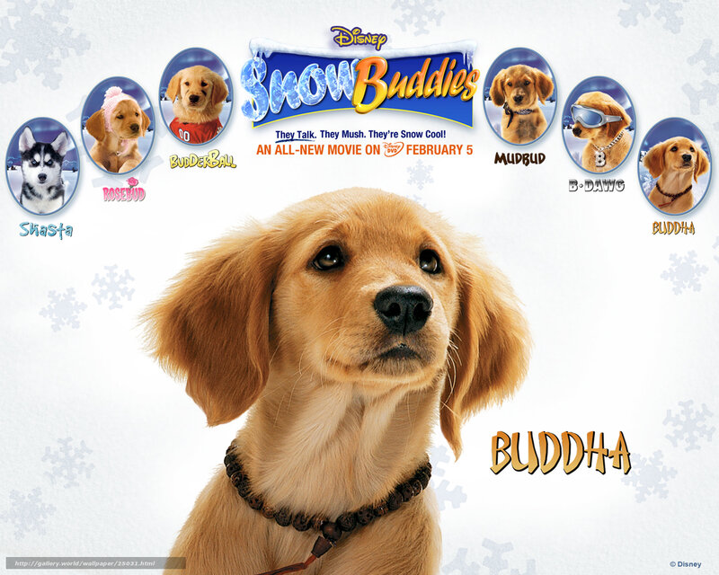 Golden Retriever Puppy — White, Playful, Winter
