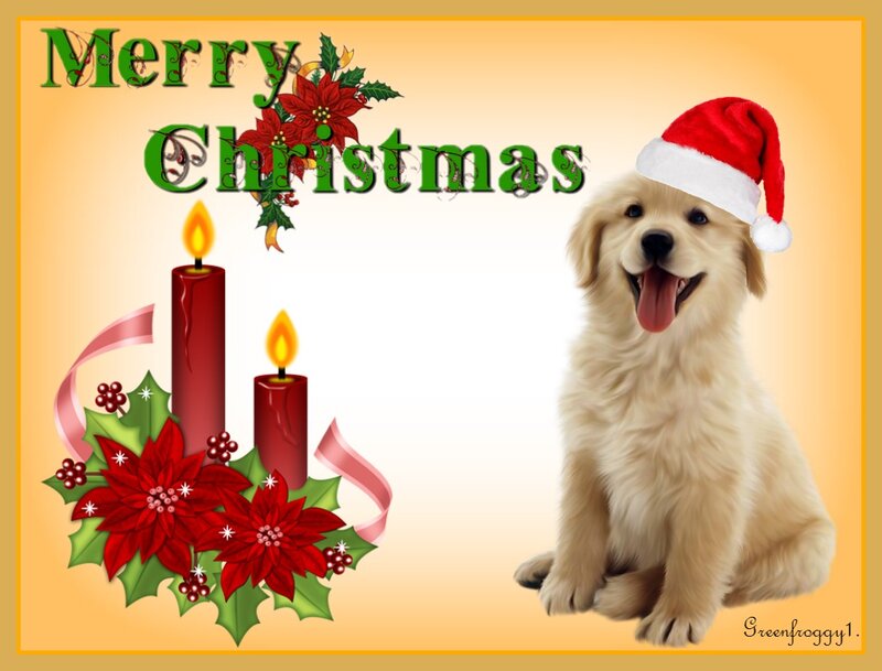 Golden Retriever Puppy — Yellow, Festive