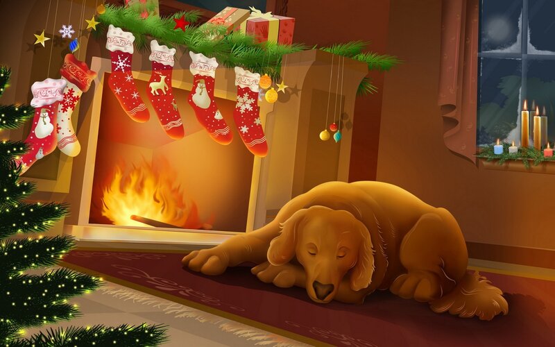 Golden Retriever Sleeping — Brown, Cozy, Night