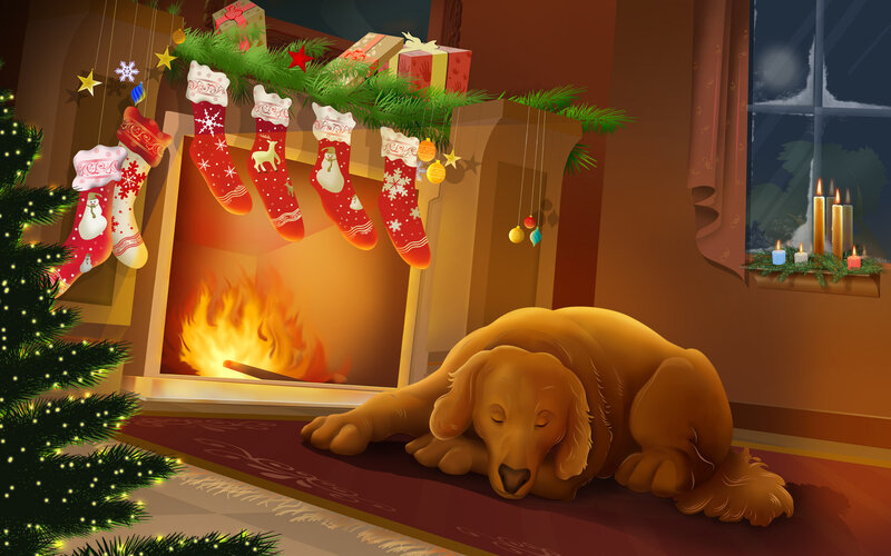 Golden Retriever Sleeping