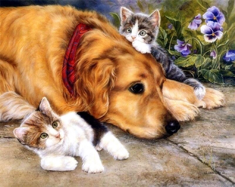 Golden Retriever with Kittens — Brown, Peaceful, Spring