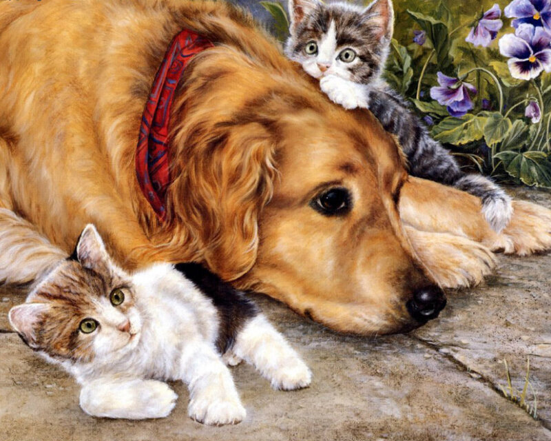 Golden Retriever with Kittens — Brown, Peaceful