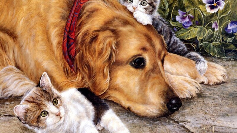 Golden Retriever with Kittens — Brown