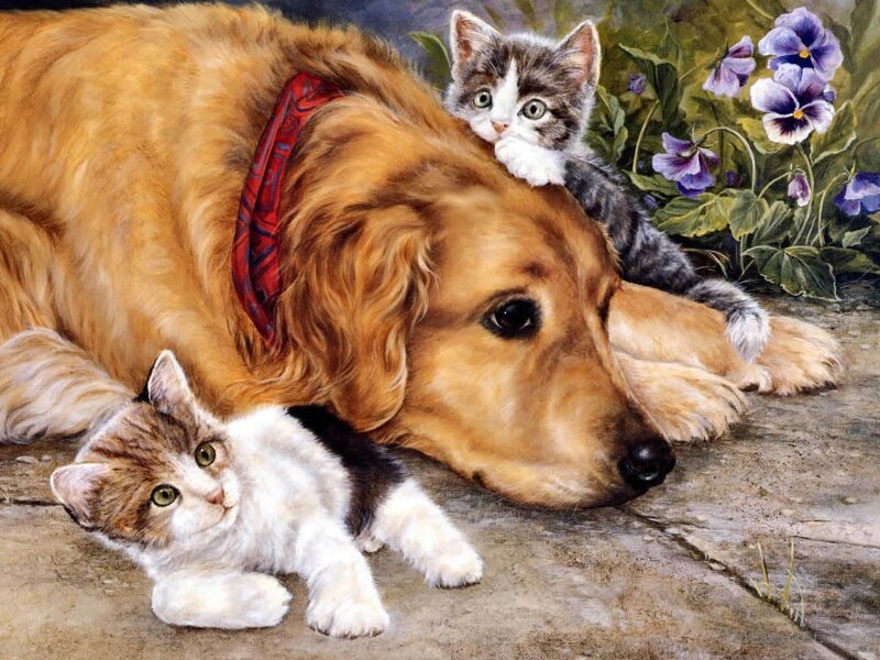 Golden Retriever with Kittens