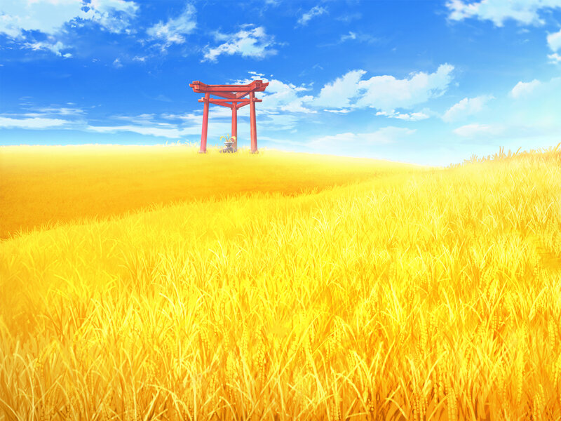 Golden Rice Field — Yellow