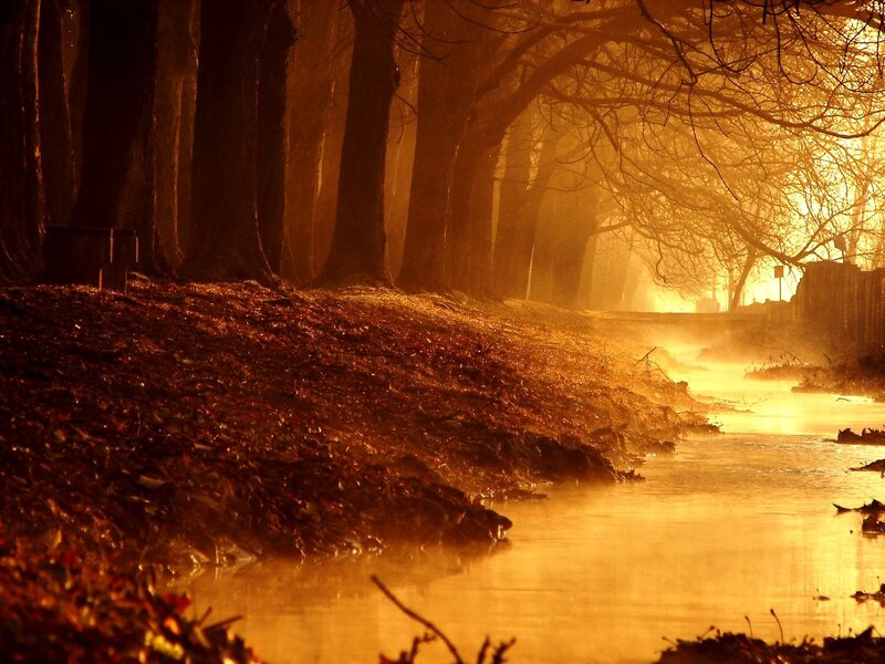 Golden river at dawn