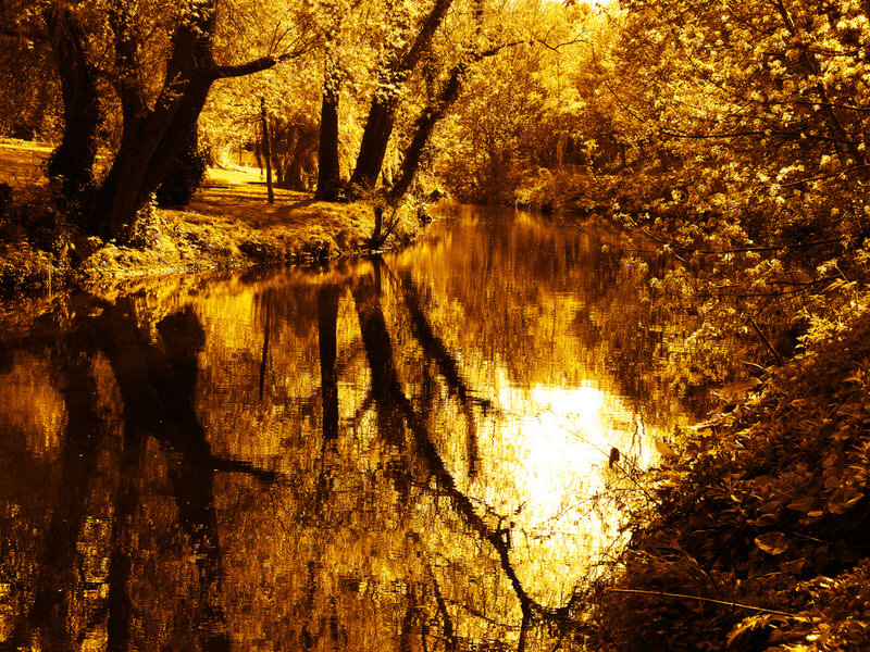 Golden river at sunset