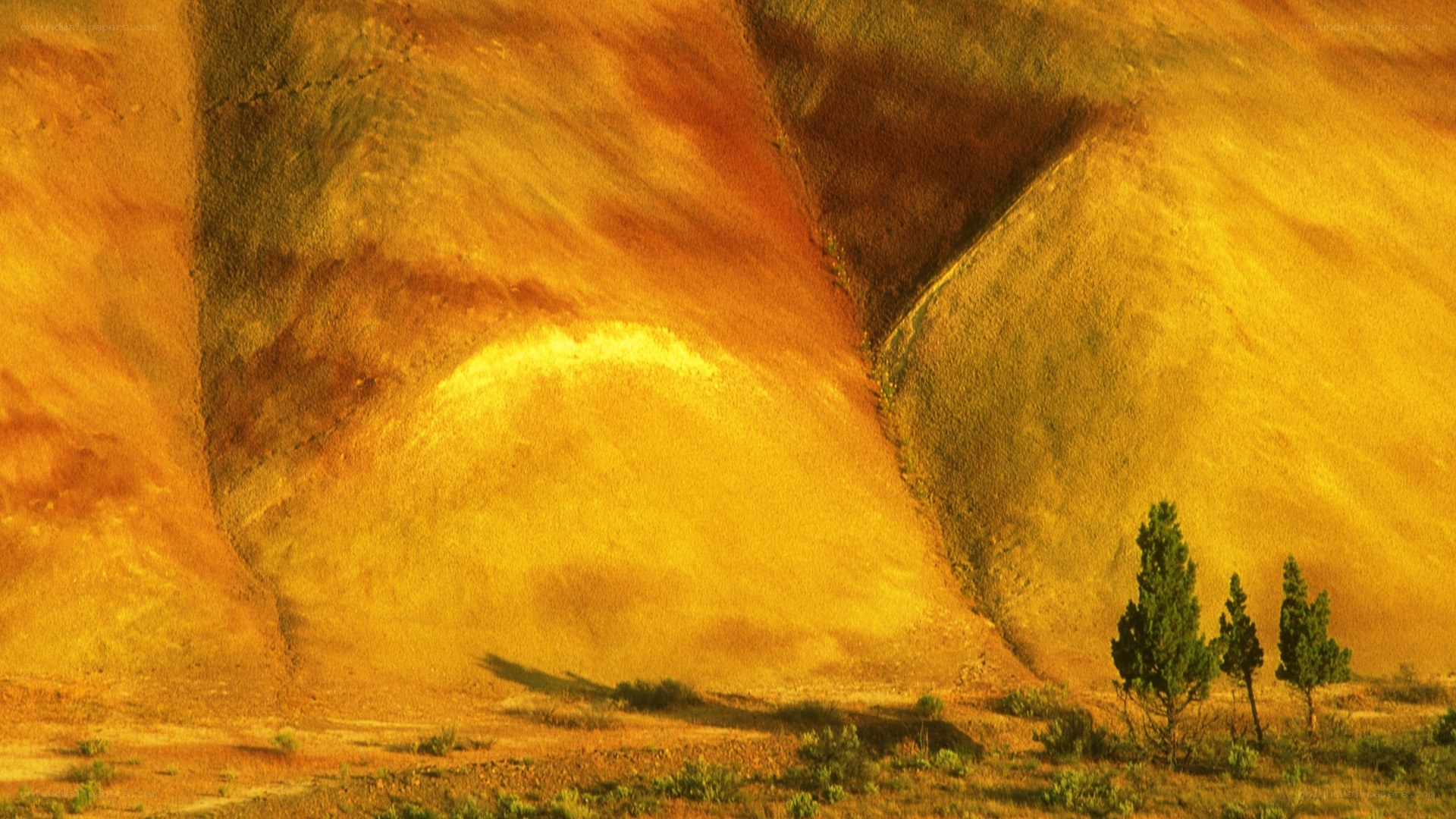 Golden rock formations at sunset
