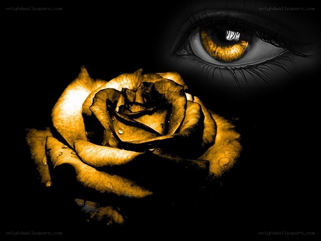 golden rose and eye