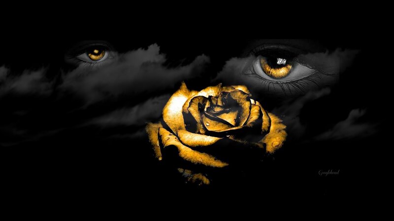 Golden Rose and Eyes