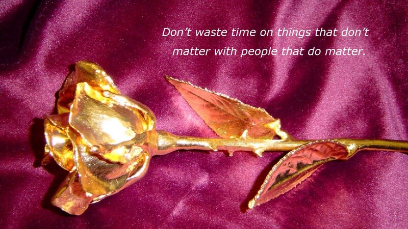 Golden Rose on Fabric