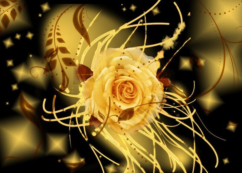 golden rose with floral design
