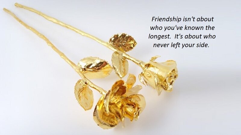 Golden Roses