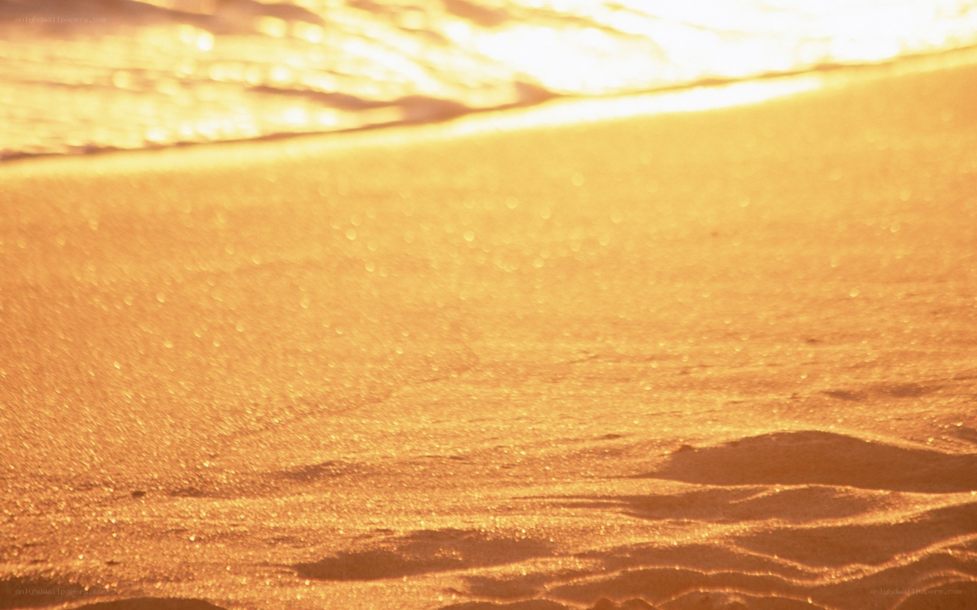 golden sand at sunset