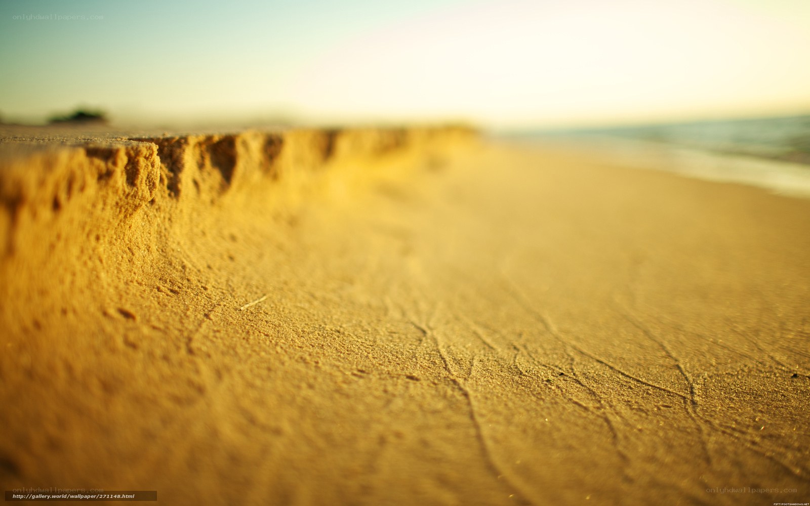 Golden sand at sunset