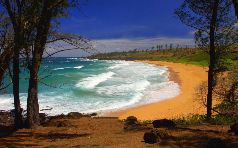 Golden Sand Beach — Blue, Serene, Afternoon, Photograph, Ocean Waves