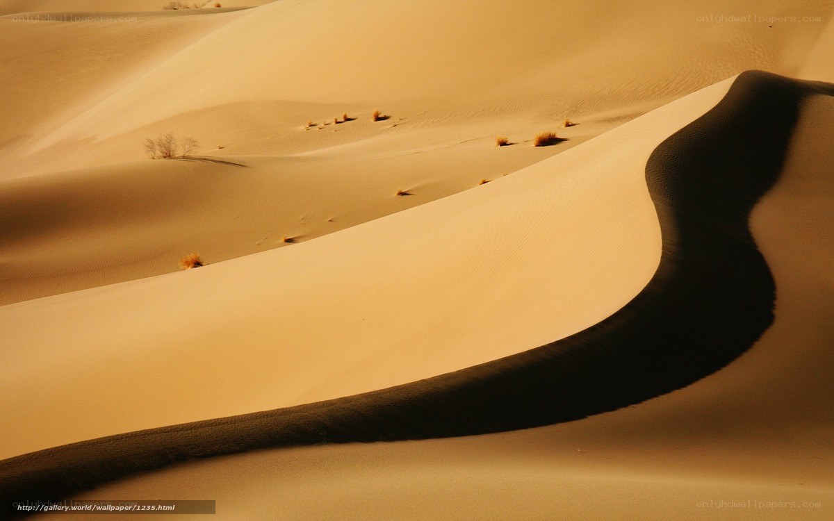 Golden sand dunes at sunset
