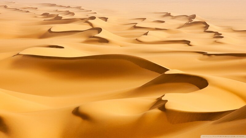 Golden sand dunes landscape
