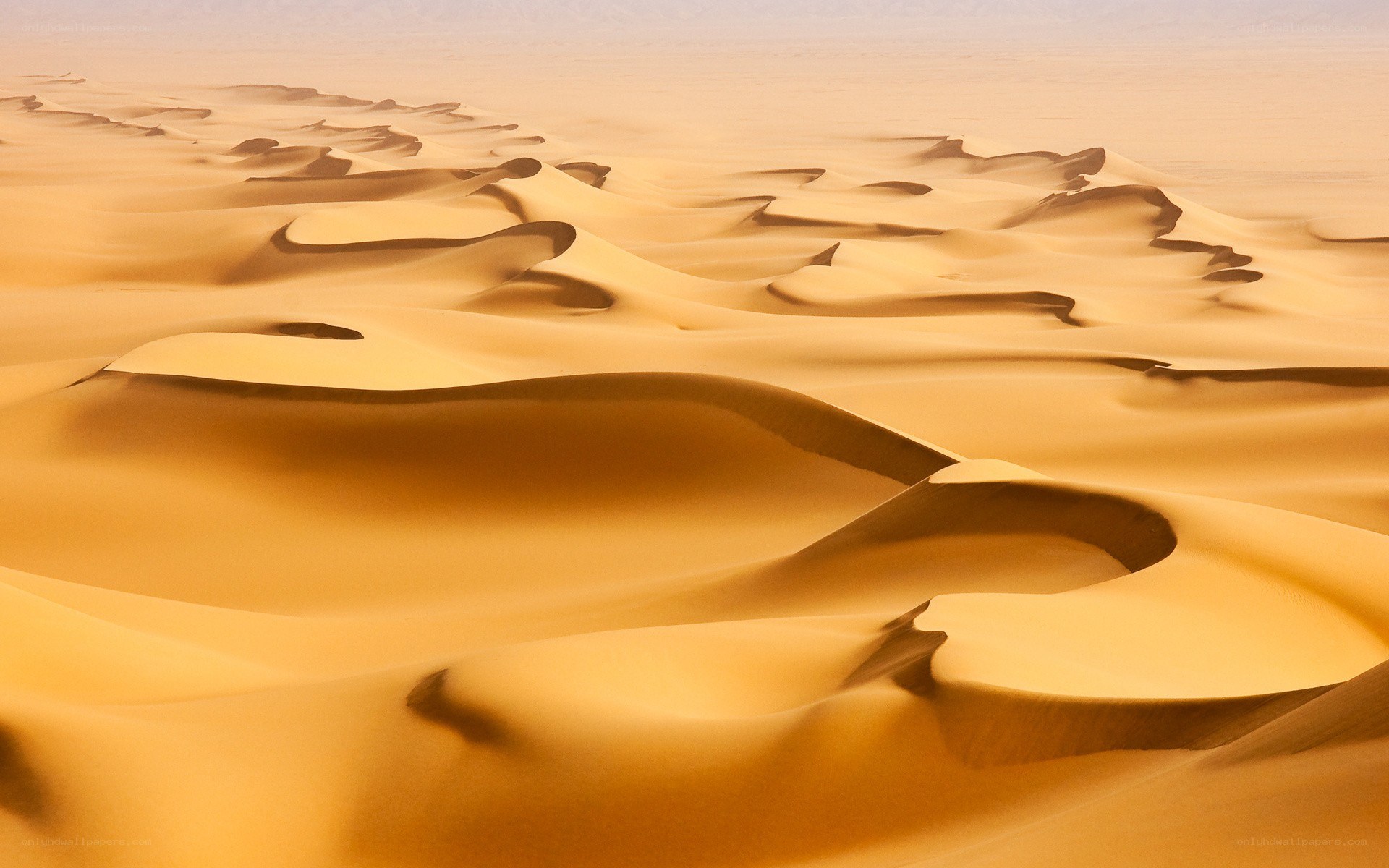 Golden sand dunes landscape