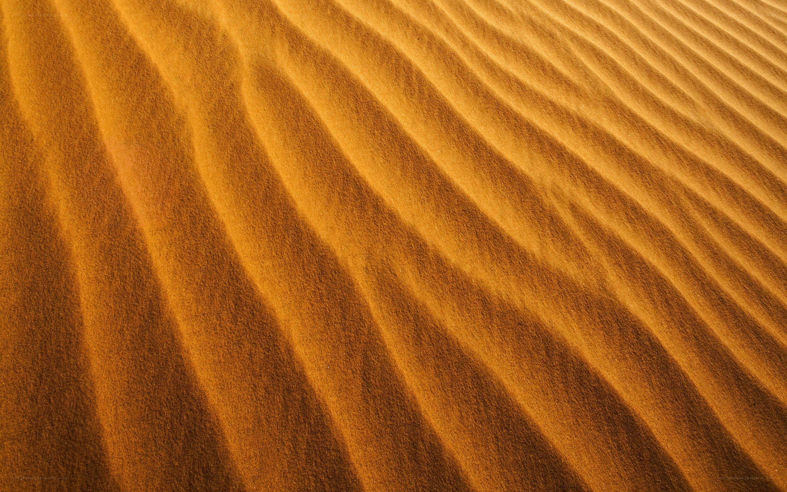 Golden sand dunes texture