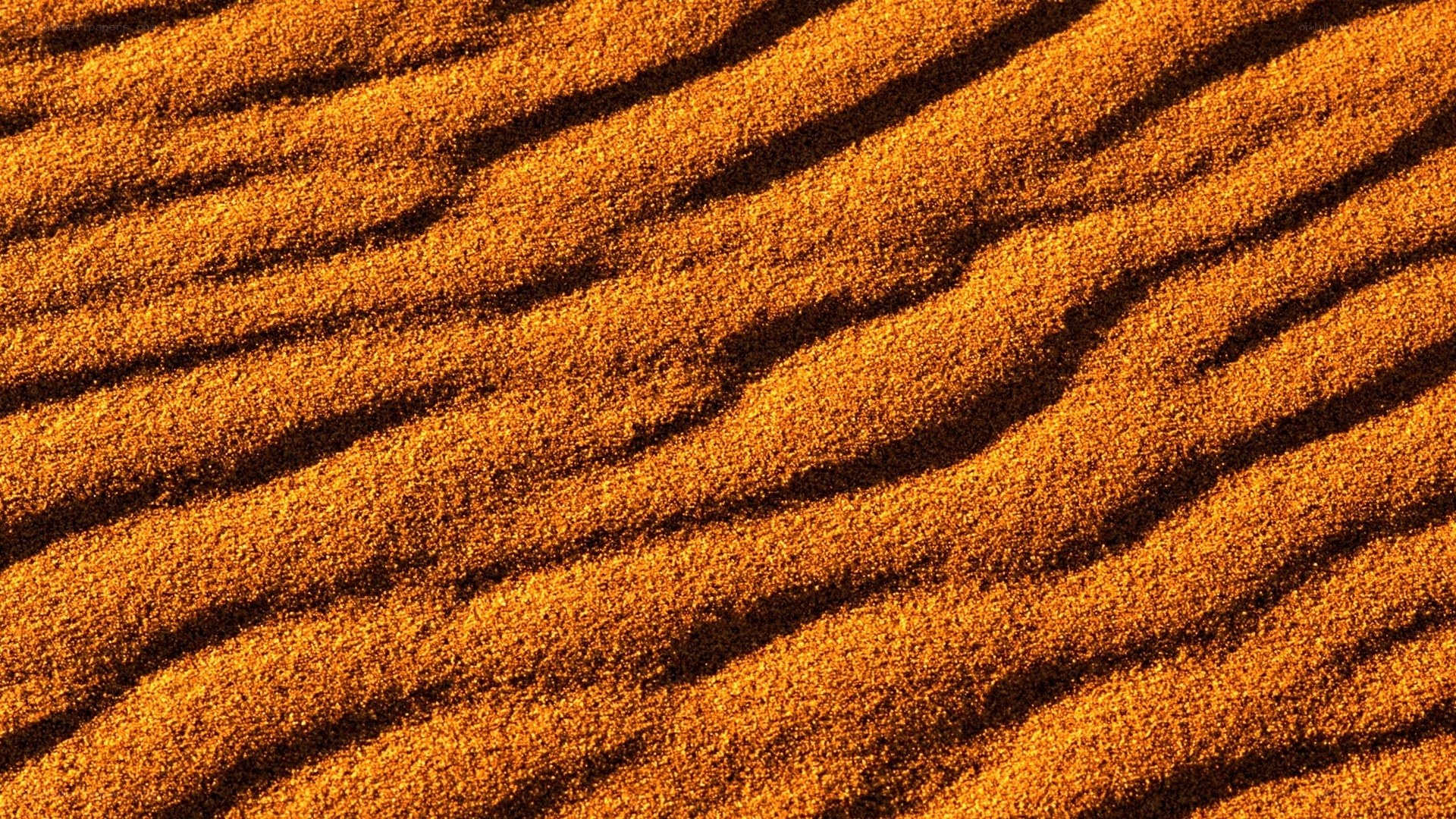 golden sand dunes texture