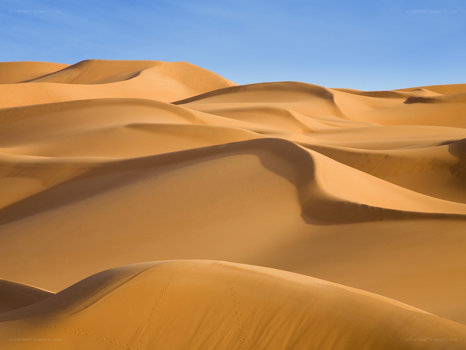 Golden sand dunes under blue sky