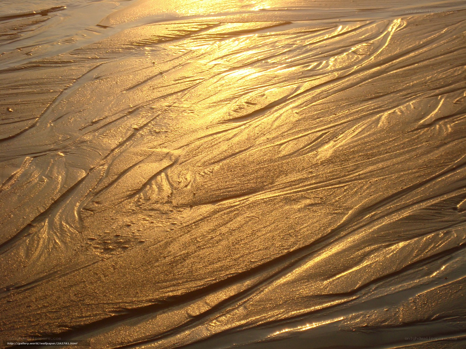 Golden sand patterns at sunset