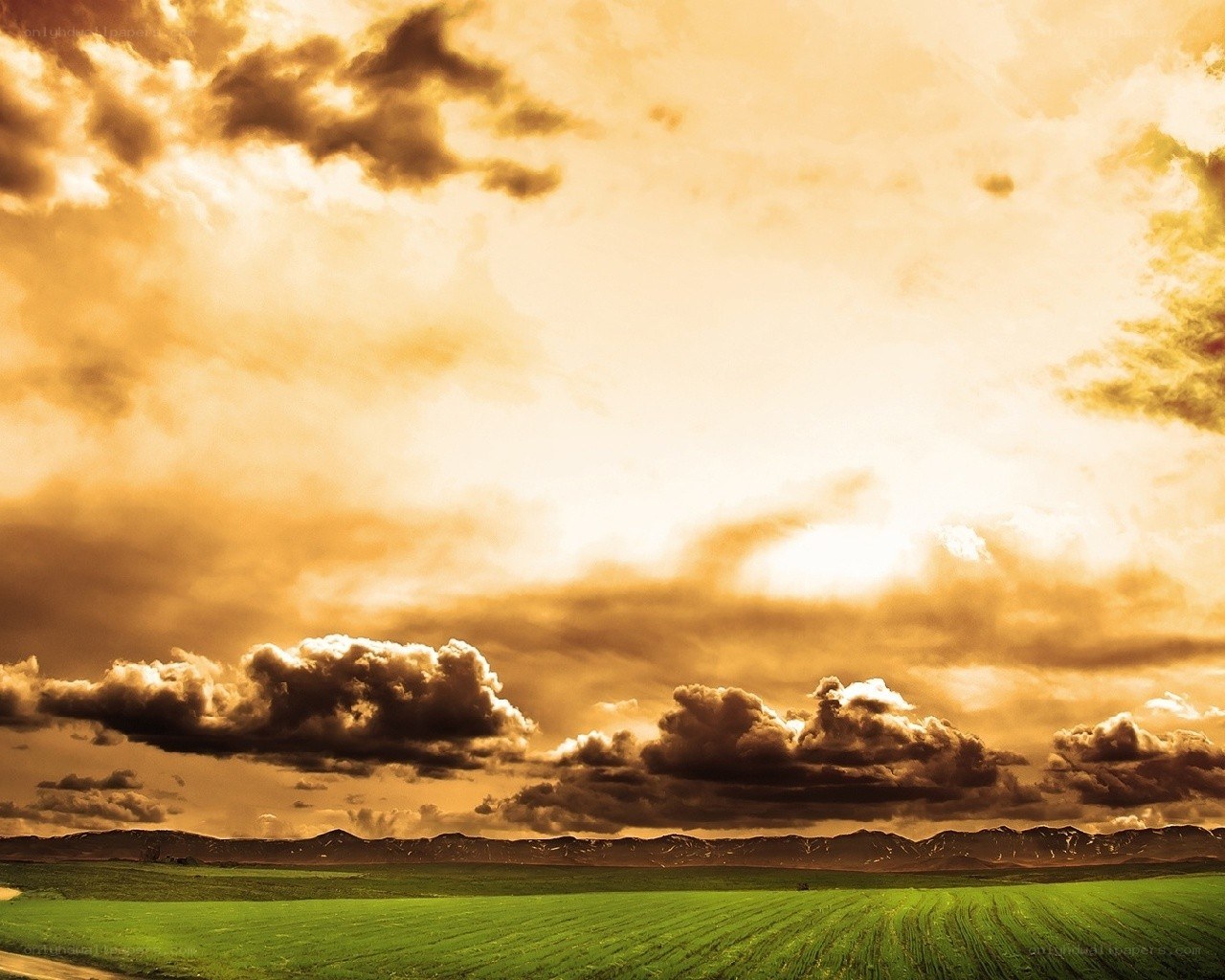 Golden sky over green fields