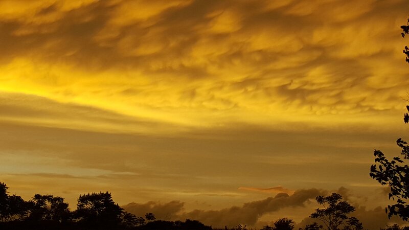 Golden Sky with Clouds — Yellow