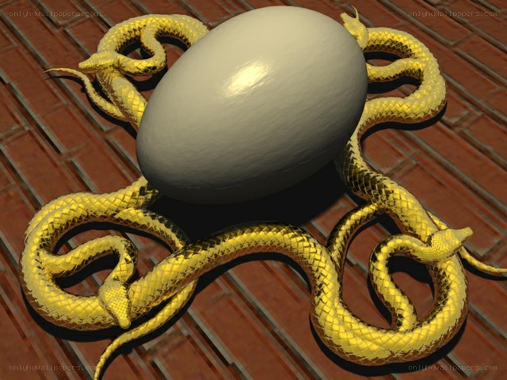 Golden snakes around an egg