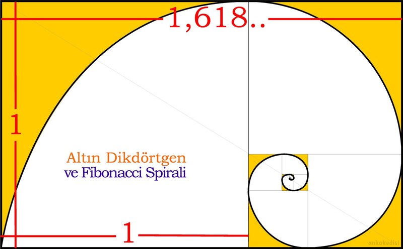 Golden Spiral Diagram — Yellow