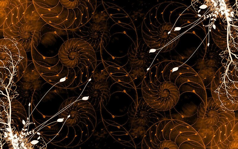 golden spiral floral pattern