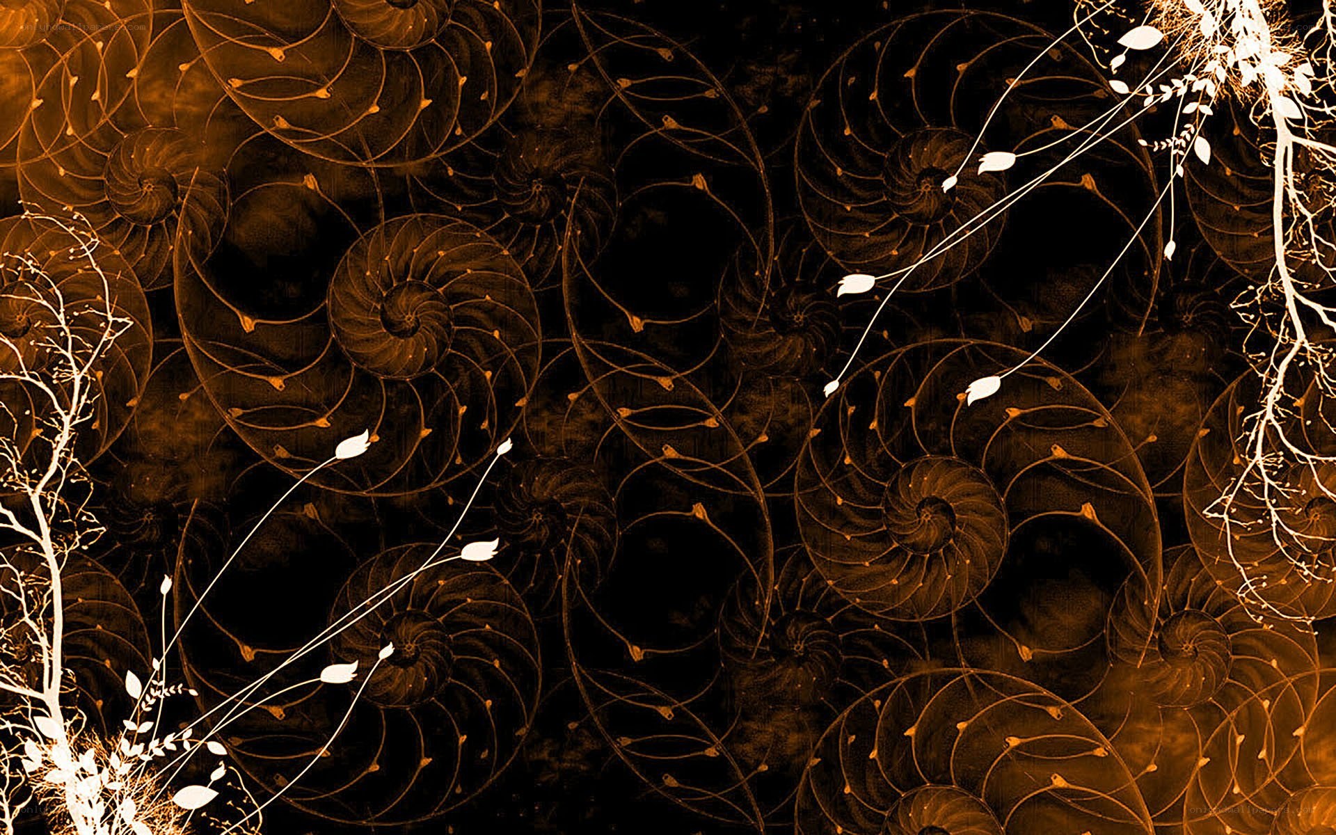 golden spiral floral pattern