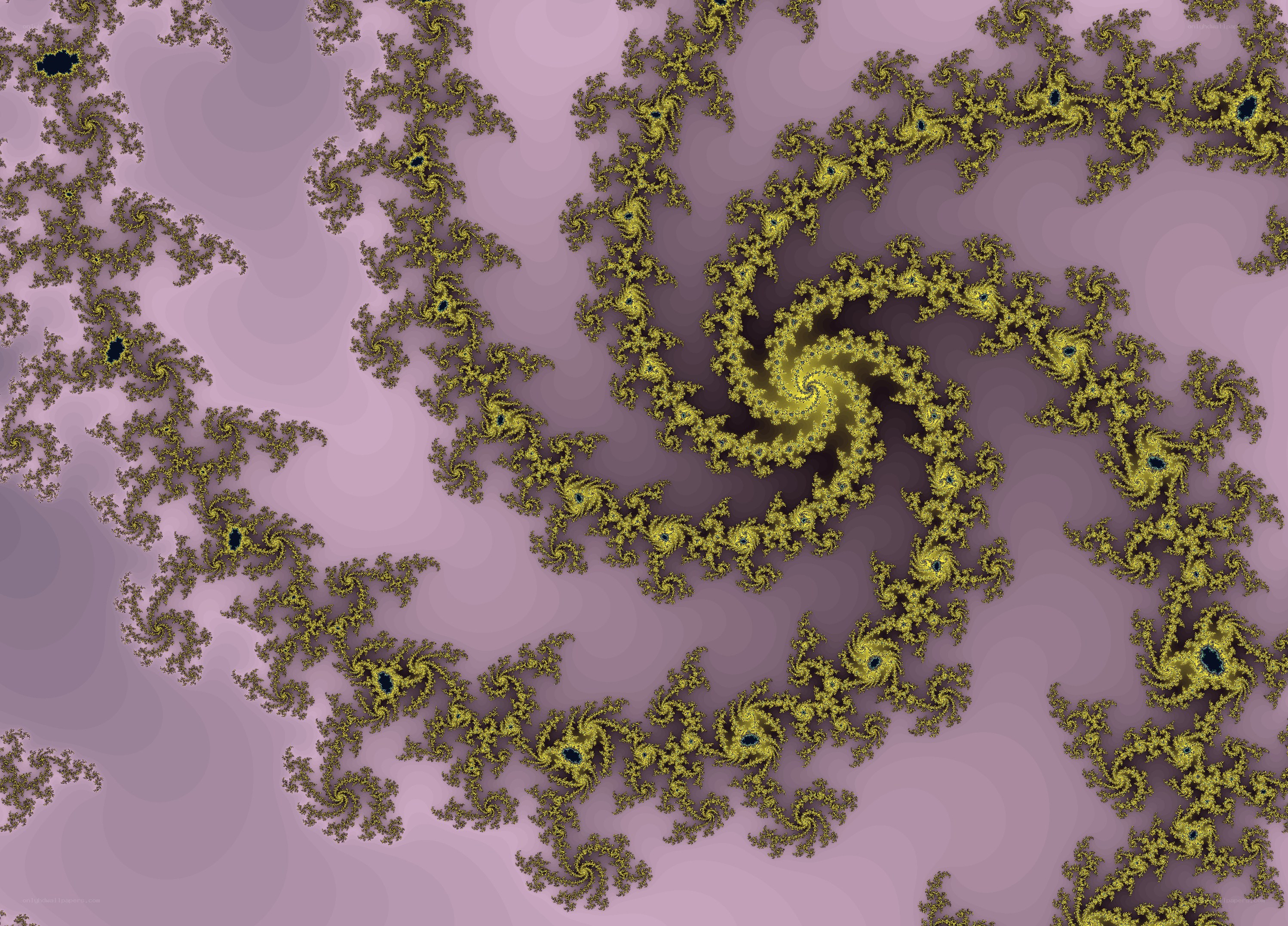 golden spiral fractal pattern