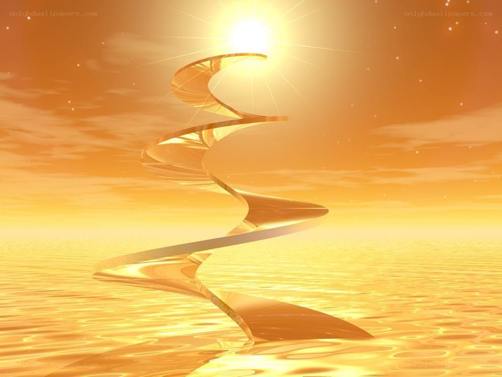 golden spiral staircase